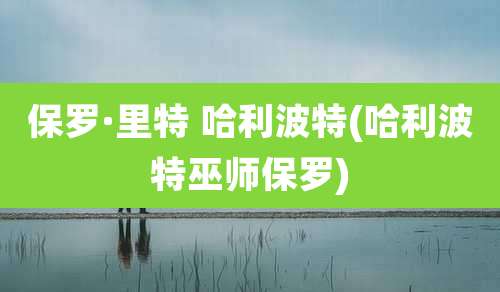 保罗·里特 哈利波特(哈利波特巫师保罗)