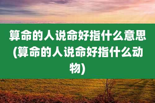 算命的人说命好指什么意思(算命的人说命好指什么动物)