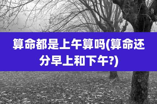 算命都是上午算吗(算命还分早上和下午?)