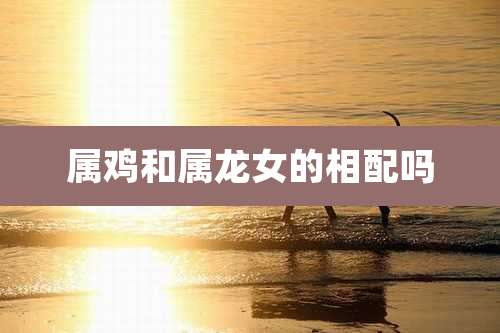 属鸡和属龙女的相配吗