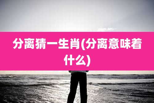 分离猜一生肖(分离意味着什么)