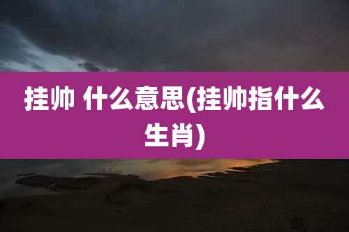 挂帅 什么意思(挂帅指什么生肖)