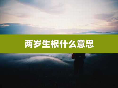两岁生根什么意思