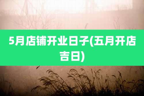 5月店铺开业日子(五月开店吉日)