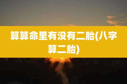 算算命里有没有二胎(八字算二胎)