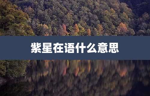 紫星在语什么意思