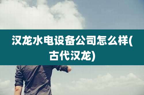 汉龙水电设备公司怎么样(古代汉龙)