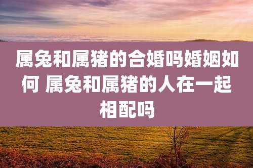 属兔和属猪的合婚吗婚姻如何 属兔和属猪的人在一起相配吗