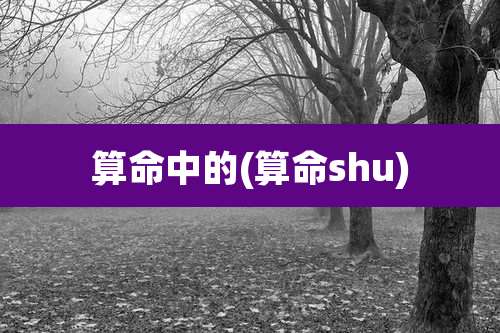 算命中的(算命shu)