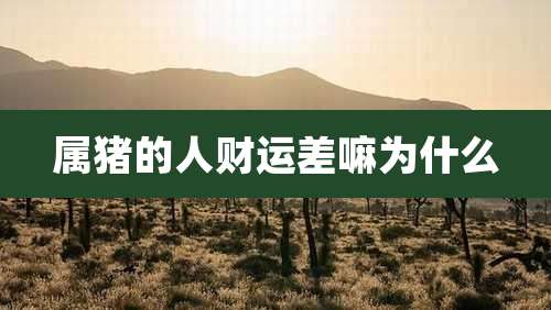 属猪的人财运差嘛为什么