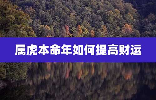 属虎本命年如何提高财运