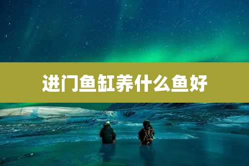 进门鱼缸养什么鱼好