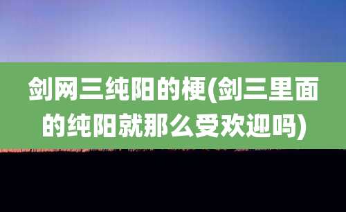 剑网三纯阳的梗(剑三里面的纯阳就那么受欢迎吗)