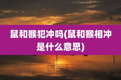 鼠和猴犯冲吗(鼠和猴相冲是什么意思)