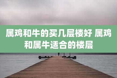 属鸡和牛的买几层楼好 属鸡和属牛适合的楼层