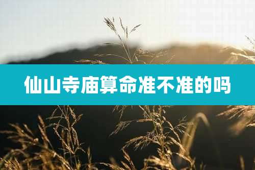 仙山寺庙算命准不准的吗