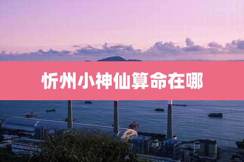 忻州小神仙算命在哪