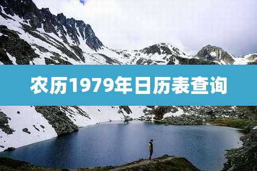 农历1979年日历表查询