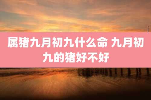 属猪九月初九什么命 九月初九的猪好不好