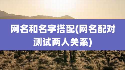 网名和名字搭配(网名配对测试两人关系)