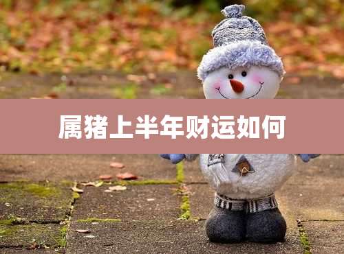 属猪上半年财运如何