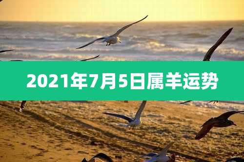 2021年7月5日属羊运势