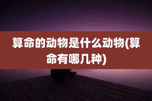 算命的动物是什么动物(算命有哪几种)