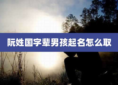 阮姓国字辈男孩起名怎么取