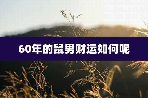 60年的鼠男财运如何呢