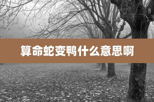 算命蛇变鸭什么意思啊