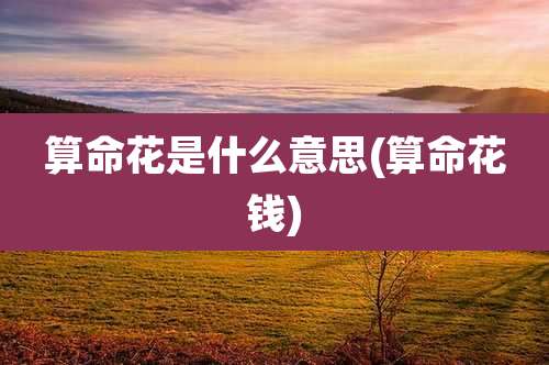 算命花是什么意思(算命花钱)