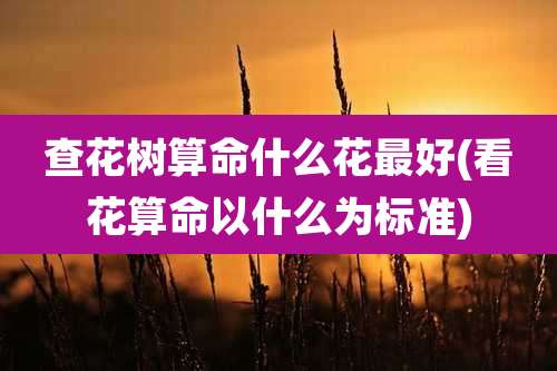 查花树算命什么花最好(看花算命以什么为标准)