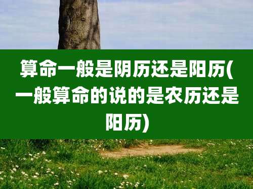 算命一般是阴历还是阳历(一般算命的说的是农历还是阳历)