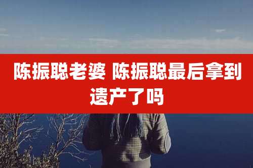 陈振聪老婆 陈振聪最后拿到遗产了吗