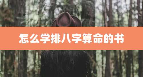 怎么学排八字算命的书