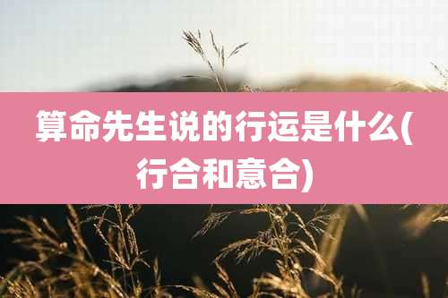 算命先生说的行运是什么(行合和意合)