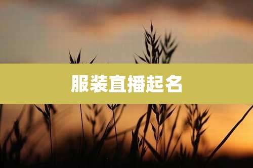 服装直播起名