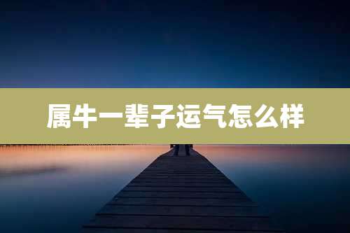 属牛一辈子运气怎么样