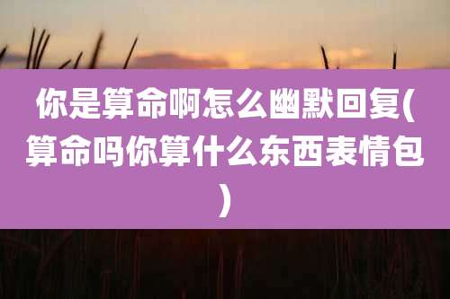 你是算命啊怎么幽默回复(算命吗你算什么东西表情包)