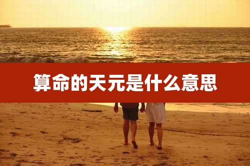 算命的天元是什么意思