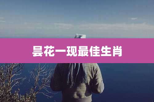 昙花一现最佳生肖