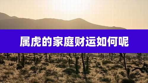 属虎的家庭财运如何呢