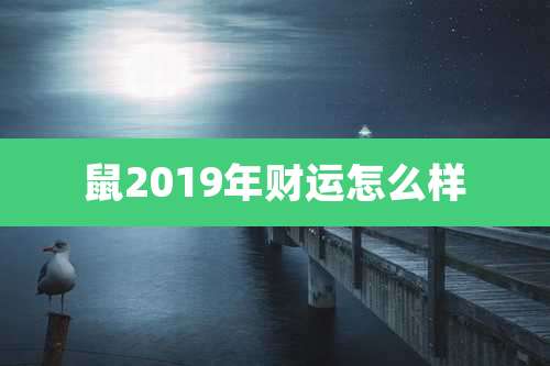 鼠2019年财运怎么样