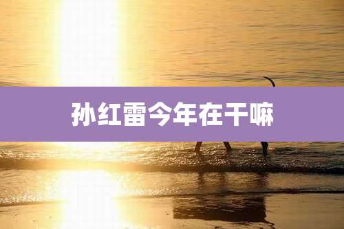 孙红雷今年在干嘛