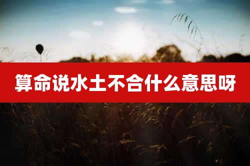 算命说水土不合什么意思呀