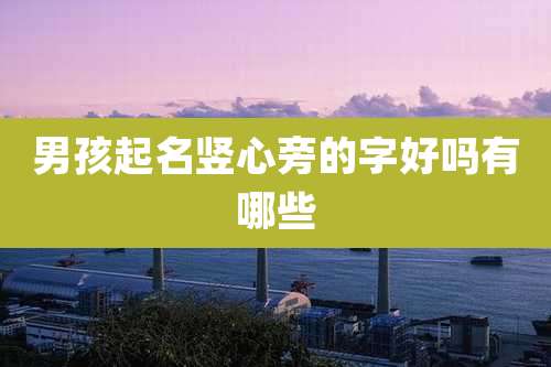 男孩起名竖心旁的字好吗有哪些