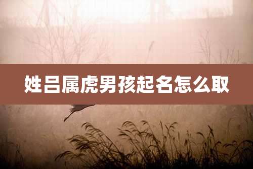 姓吕属虎男孩起名怎么取