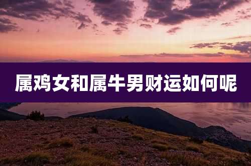 属鸡女和属牛男财运如何呢