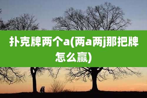 扑克牌两个a(两a两j那把牌怎么赢)