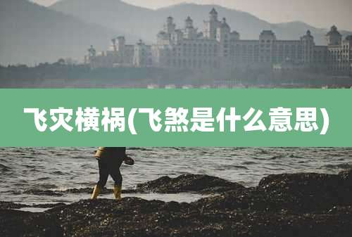 飞灾横祸(飞煞是什么意思)